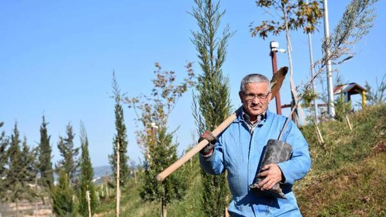 ‘Orman Dede’ 100 bin fidanı toprakla buluşturdu