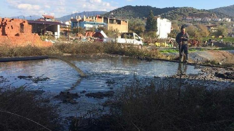 Zeytinyağı işletmeleri denetlendi