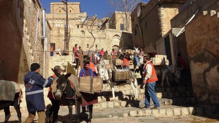 Kadrolu 3 eşek törenle emekliye ayrıldı