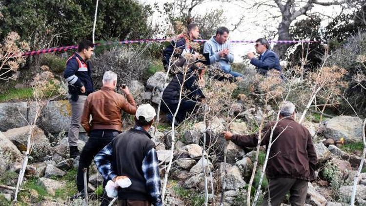 Profesyonel dalgıç, kendini incir ağacına astı