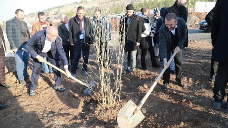 Başkan Çiftçi, öğrencilerle fidan dikti