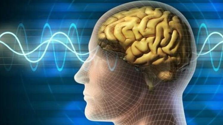 Temporal Lob Epilepsi hastalığı nedir TLE hastalığının temel özellikleri neler