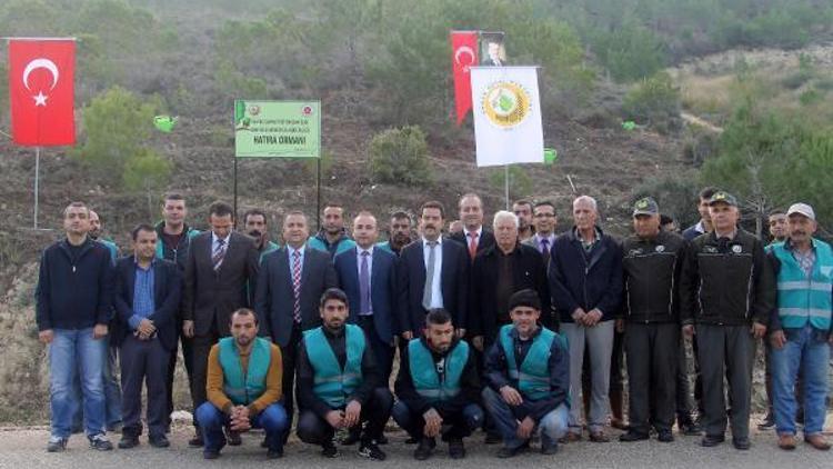 Denetimli Serbestlik Müdürlüğü hatıra ormanı oluşturdu