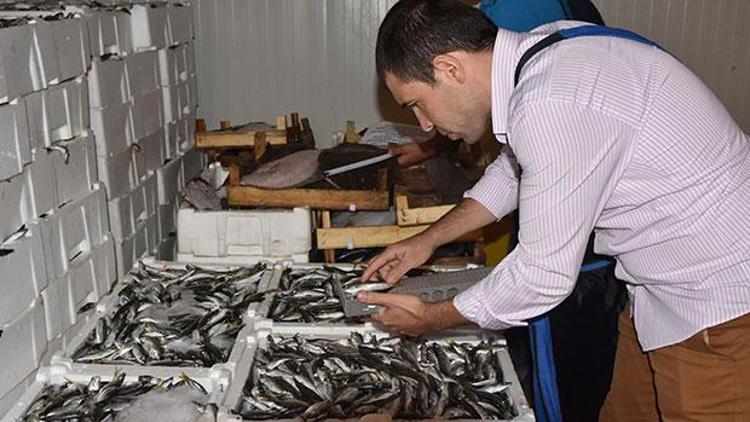 Balıkçılara bir yılda 760 bin lira ceza kesildi