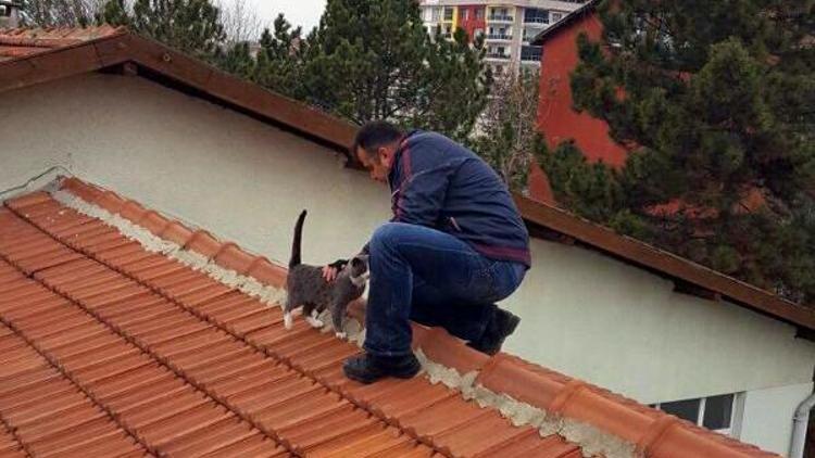 Çatıda mahsur kalan kediyi itfaiye kurtardı