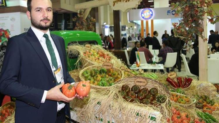 Tüketici köy domatesi lezzetini arayınca gülköy ve gülpembe ortaya çıktı