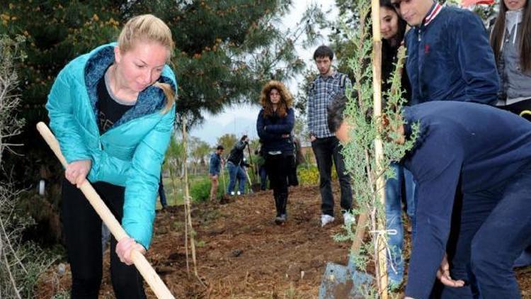 Türkiyenin 2 bin 955 hatıra ormanı var