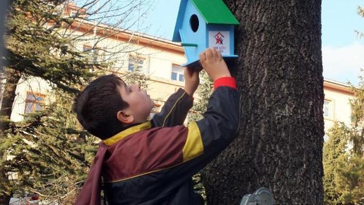 Yozgatta çocuklardan kuş ve kedilere sıcak yuva