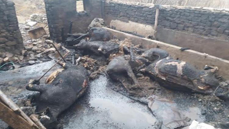 Erzincanda ahır yangını: 9 hayvan telef oldu
