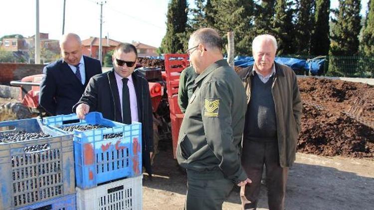 Armutlu Kaymakamı, Kapaklı Köyü’nde incelemelerde bulundu