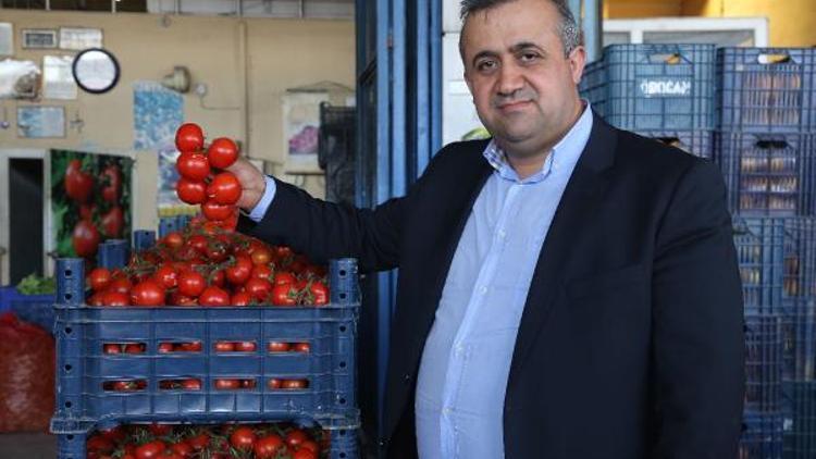 Rus ambargosunun olumsuz etkisi domatesin üzerinde