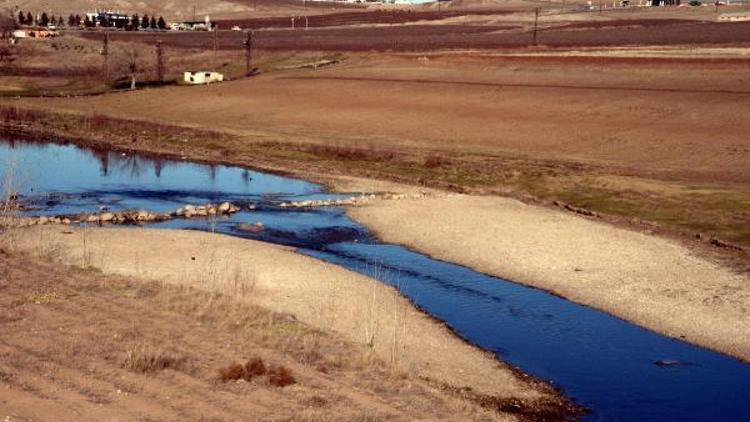 Bölgenin hayat kaynağı Dicle Nehri can çekişiyor