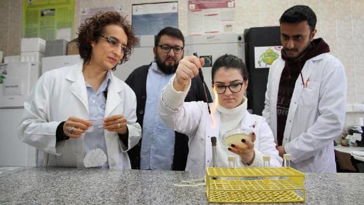 Pamukkale Üniversitesinde doğayı koruyan bakteri üretildi
