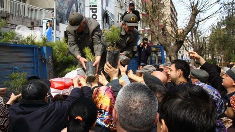 Eskişehir ve Afyonkarahisarda yeni yıl için fidan dağıtımı