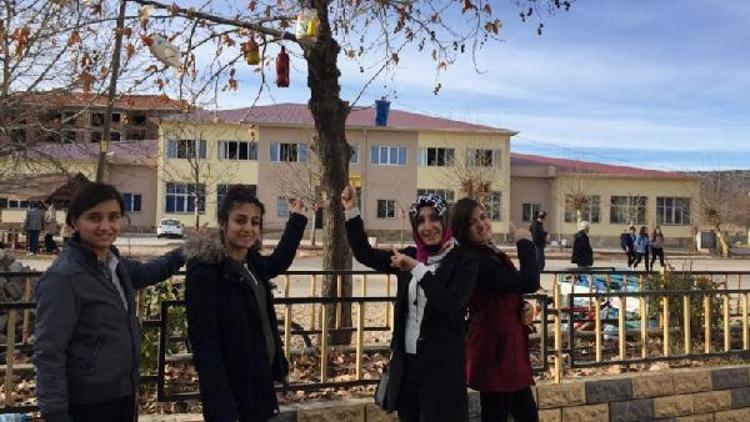 Öğrencilerden kuşlar için ağaçlara yuva