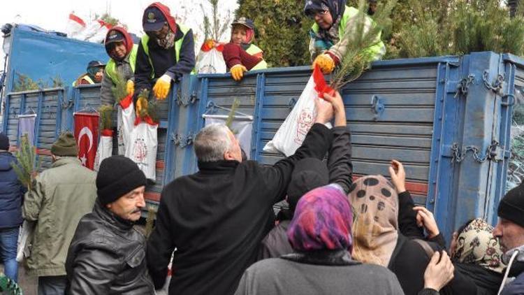 Eskişehirde fidan dağıtımı