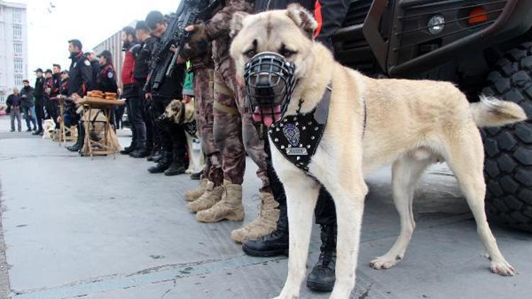 Emniyet Yılbaşı için hazır, Kangal ve Akbaşlar ilk defa görev yapacak (geniş haber)