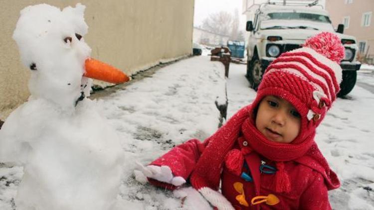Erzurum, Kars ve Ardahanda 411 köy yolu kardan kapandı