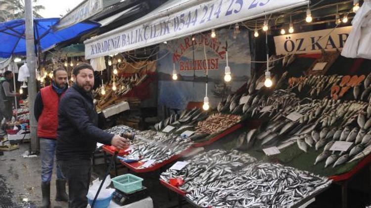 İzmitte balık fiyatları düşmeye başladı