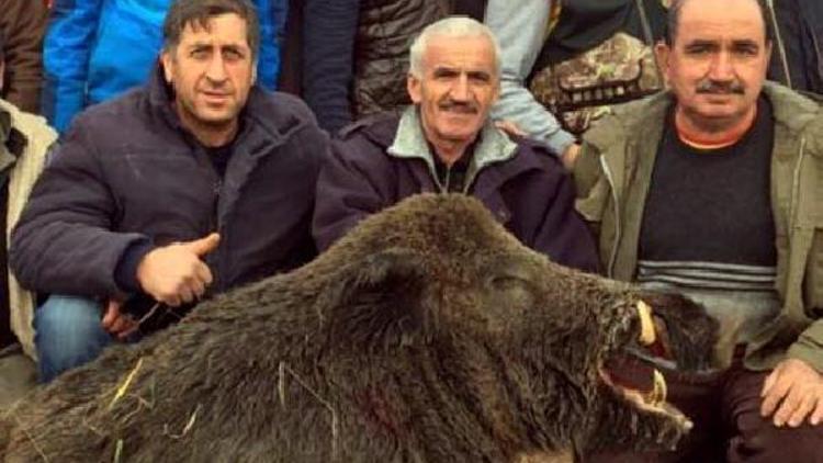 Vurdukları 300 kiloluk domuzla hatıra fotoğrafı çekildiler