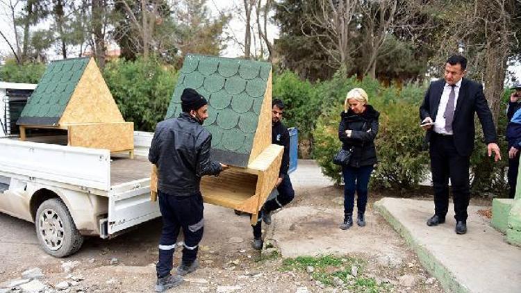 Ceylanpınarda kedilere özel barınak