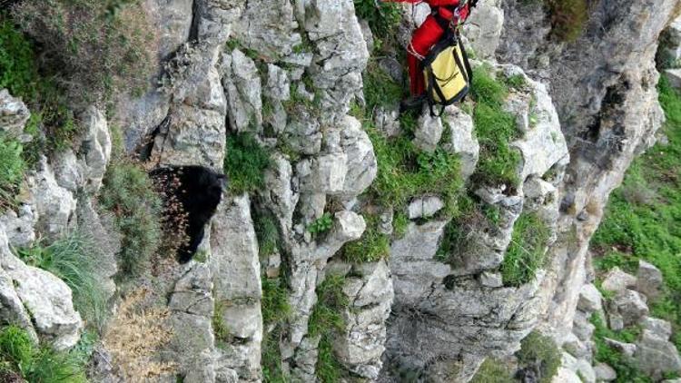 Kayalıklarda mahsur kalan oğlaklar 8 saatte kurtarıldı