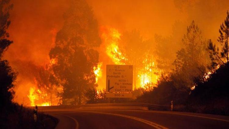 2017, bugüne kadarki en sıcak ikinci yıl oldu