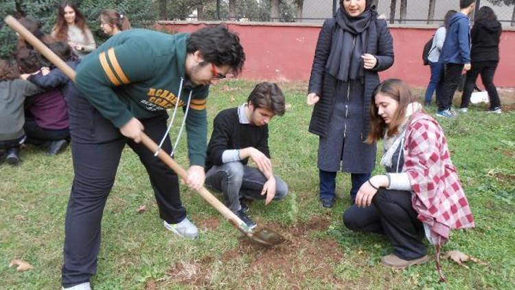 Okul bahçelerini ağaçlandırma seferberliği
