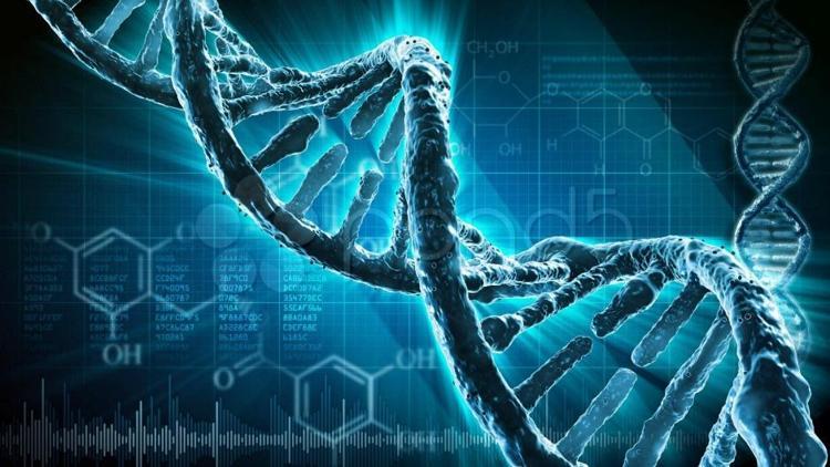 Türk bilim insanları DNA şifrelerini çözecek