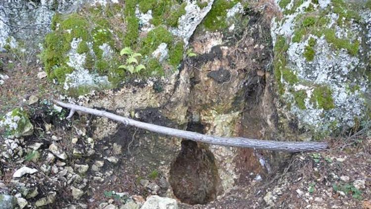 Define avcıları tarihi kaya mezarları tahrip etmiş