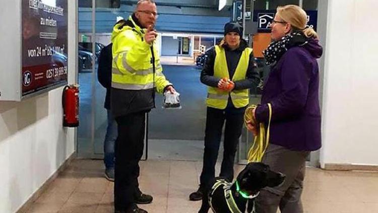 Marmariste sokak köpeğiydi, Almanyada havalimanında güvenlik aramalarında kullanılıyor