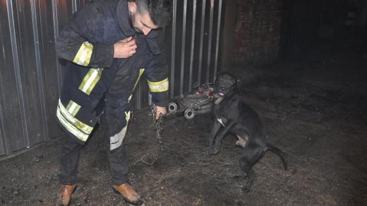 İşyeri yanan işletmeci itfaiyecilerle birlikte köpeğini kurtardı