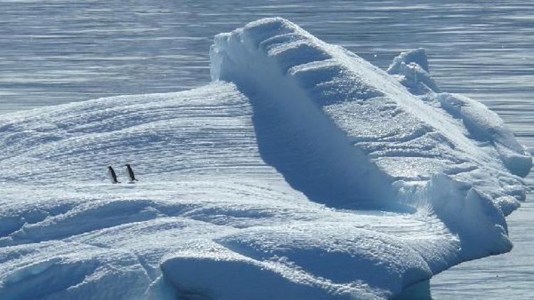 Uzmanlar uyarıyor: Kuzey Kutbu turizmi felakete yol açabilir