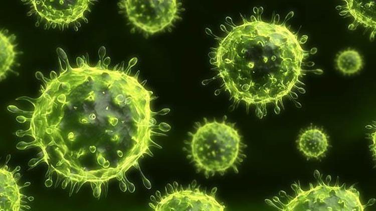 Virüs yok edilemedi: Büyük endişe... Öldürelim teklifi