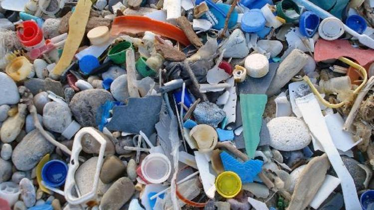 Denizlerde büyük tehlike: Mikroplastikler