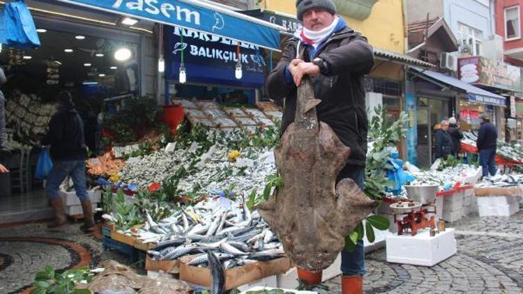 İstanbul Boğazında yakalanan keler balığı Edirnede satılıyor
