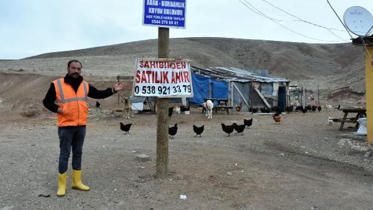 Besiciler, canlı hayvan bulmakta zorlanıyor