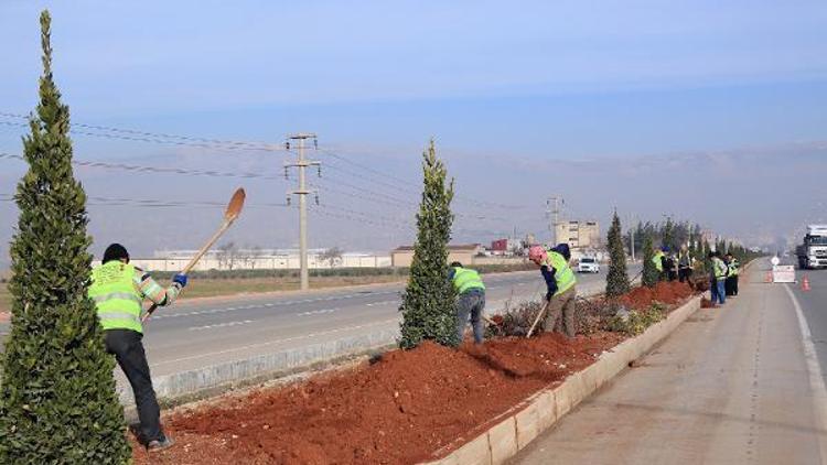 Refüjlerde düzenleme çalışmaları