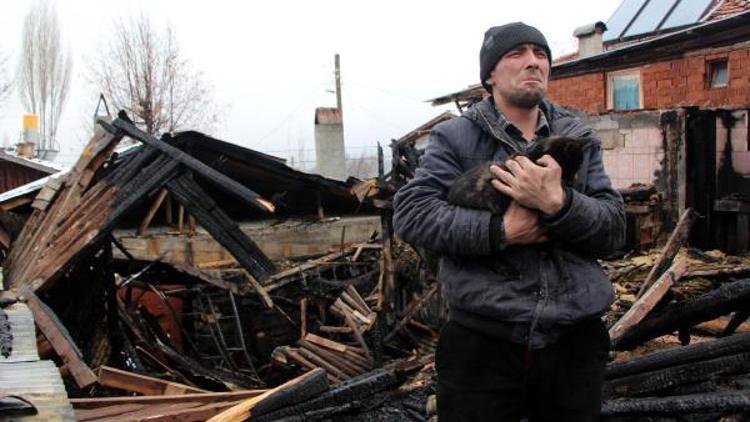 Evleri yandı,Kedilerimiz evsiz kaldı diyerek gözyaşı döktü