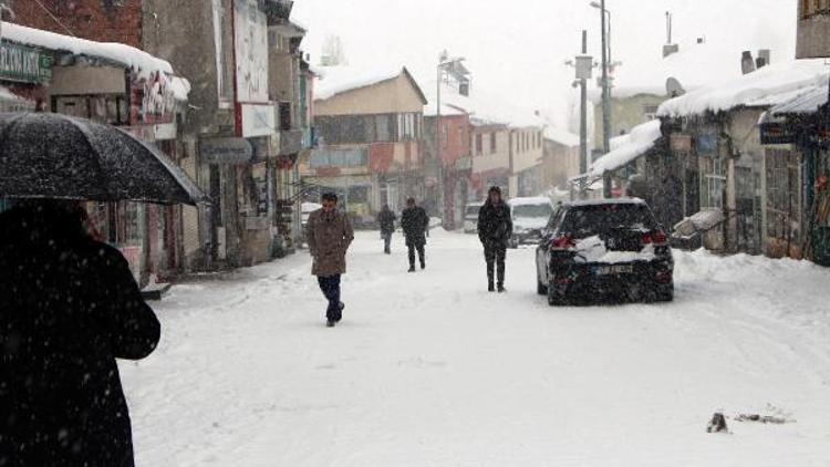 Bingölde 278, Elazığda 17 köy yolu ulaşıma kapandı (2)