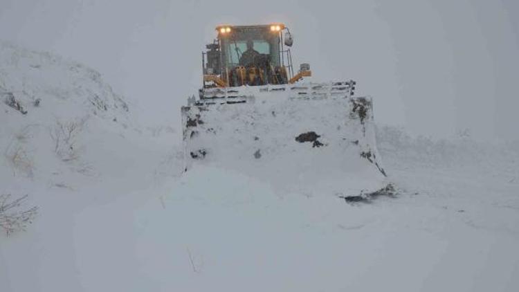 Yüksekovada kar yağışı (2)