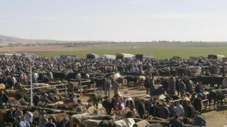 Kırşehir hayvan pazarı  tedbir amaçlı kapatıldı