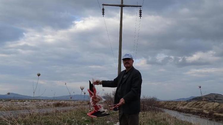 Prof. Dr. Sıkıdan elektrik teli uyarısı