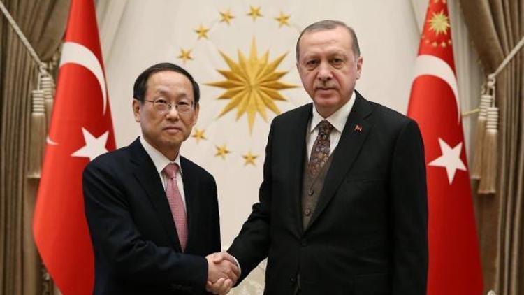 Erdoğana, Güney Kore Büyükelçisi Choı Hong-Ghıden güven mektubu