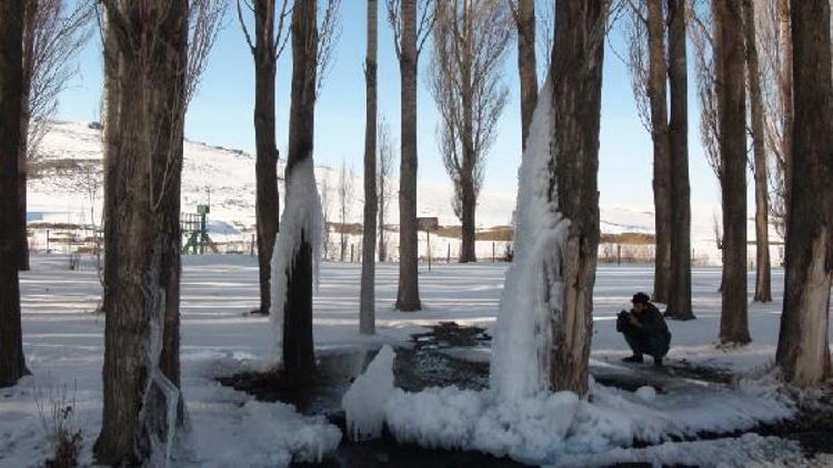 Patlayan su borusu ağaçları dondurdu
