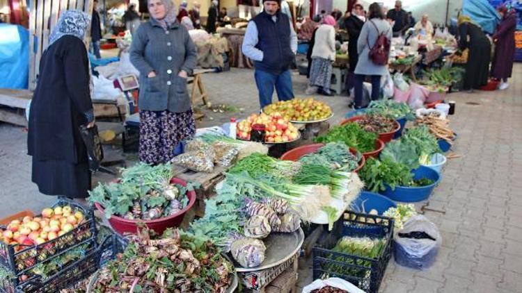 Ispıt otu bahardan önce tezgâhlarda