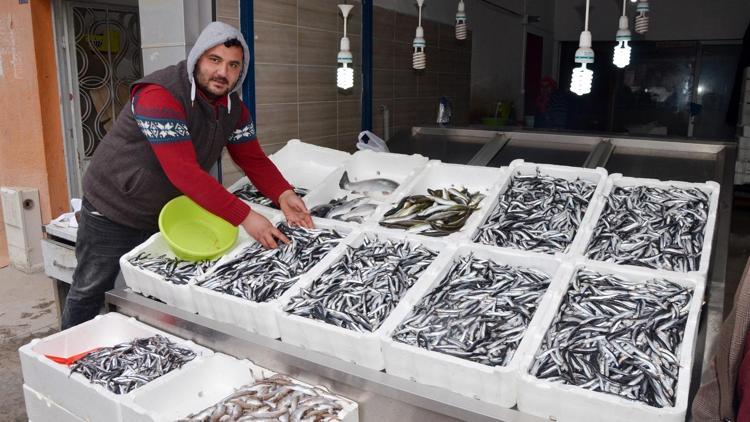 Karadenize balık Gürcistan’dan Fiyatları cep yakıyor...