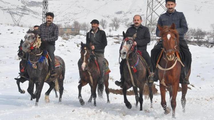 Bitliste atları karlı zeminde yarışlara hazırlıyorlar