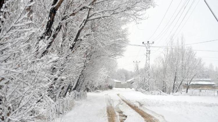 Hakkaride 16 köy ve 37 mezra yolu kardan kapandı