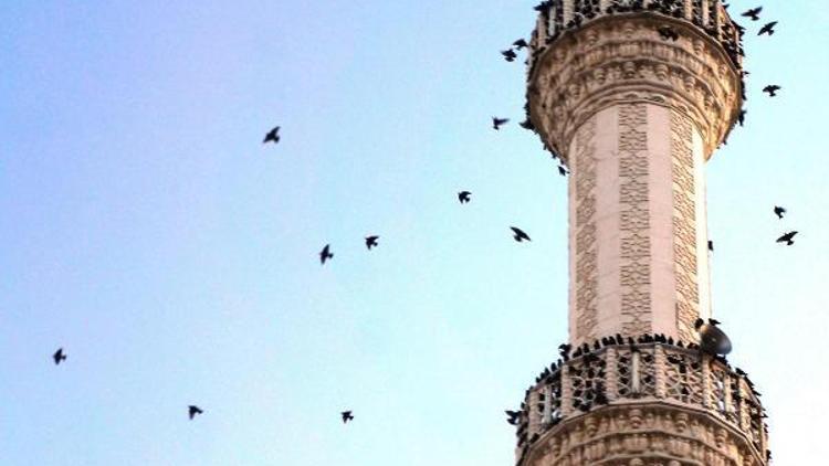 Sığırcıklar minarede mola verdi